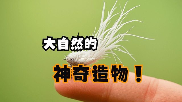 盘点不像PS的奇特动物,大自然是怎么设计出它们的？