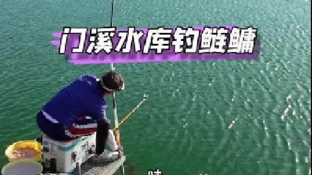 门溪钓鲢鳙。