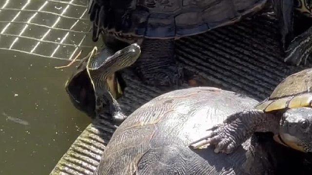 我会帮你报仇的 我当个事儿办