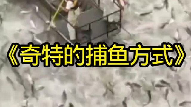 奇特的捕鱼方式
