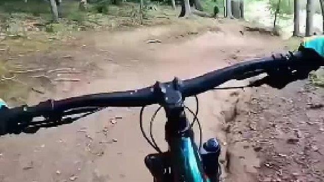 女子在山上骑行遇到羊群，最后受到一群牧羊犬的警告被迫停下，网友：头一次从一只狗身上读到了无奈的表情