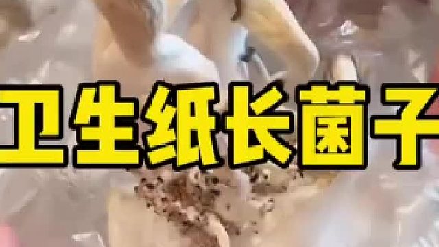 这是什么原理呢