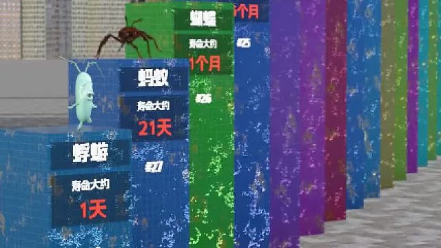 世界上最长寿动物的排名，第一名永生不灭？