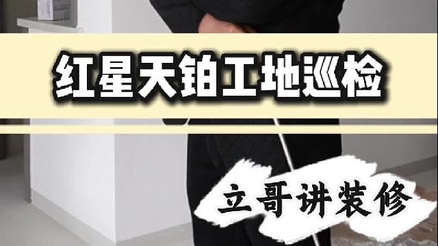 红星天铂工地巡检 (2)