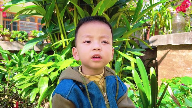 3岁儿子问妈妈：我从哪里生出来的？妈妈的回答真搞笑