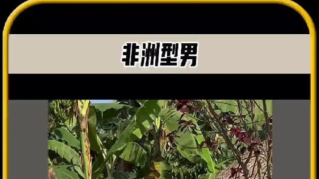 男人火爆了非洲各个部落