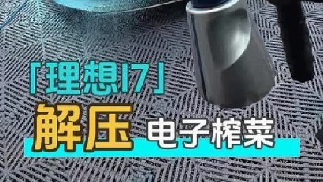 给一个月没洗的理想解压洗车