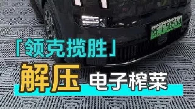 给一个月没洗的领克老铁来一波，这是什么车型，没见过
