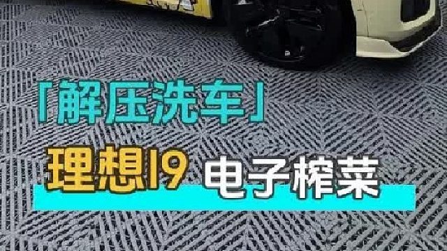 给三个月没洗的理想洗车