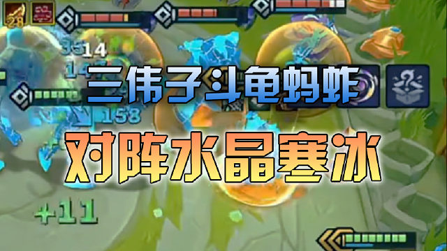 三伟子斗龟蚂蚱对阵水晶寒冰