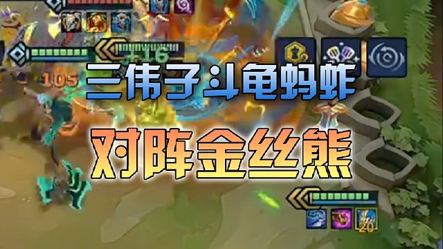 三伟子斗龟蚂蚱对阵金丝熊