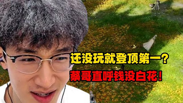 还没玩就登顶第一？蔡哥直呼没白花！