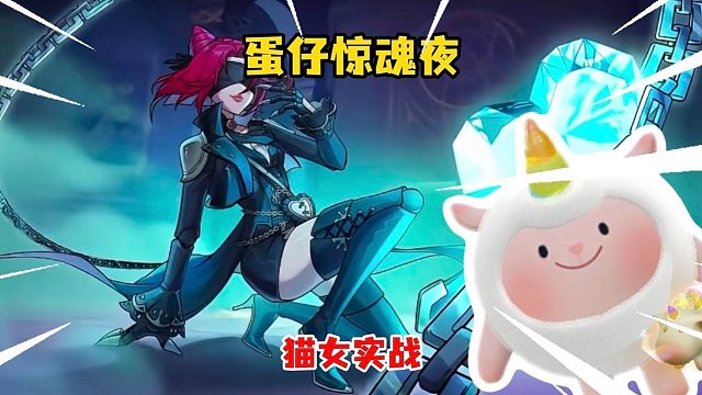 一个视频让你了解猫猫