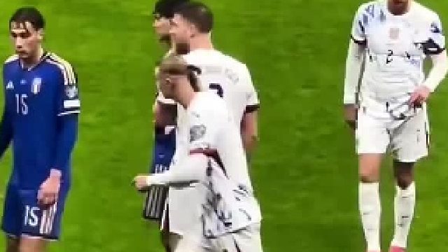 哈兰德的小辫子不允许任何人抚摸！哈哈哈