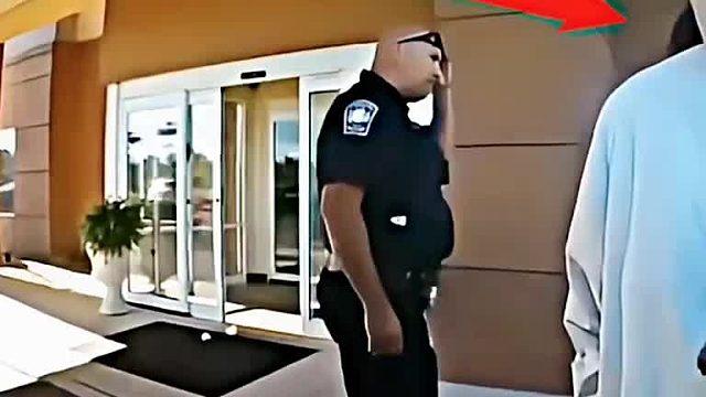 警长一觉起来天塌了