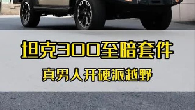 25款坦克300颜值天花板！沙丘米你就这样改！