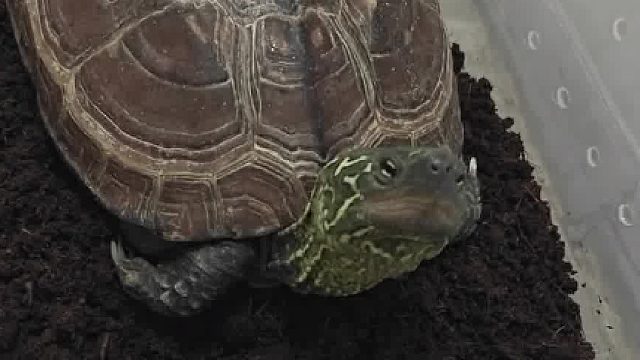 想怎样 广东这天气一下冷一下热的