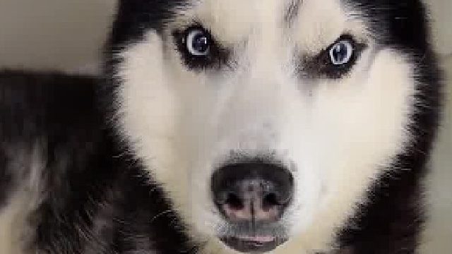 有点无聊～带我粗去玩