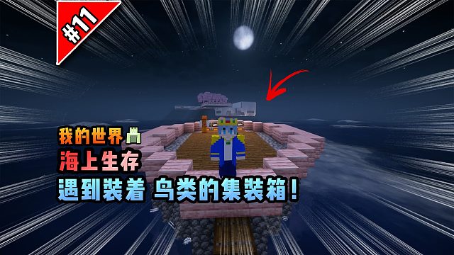 我的世界海上生存：遇到装着鸟类的集装箱！