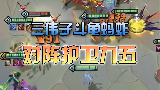 三伟子斗龟蚂蚱对阵护卫九五