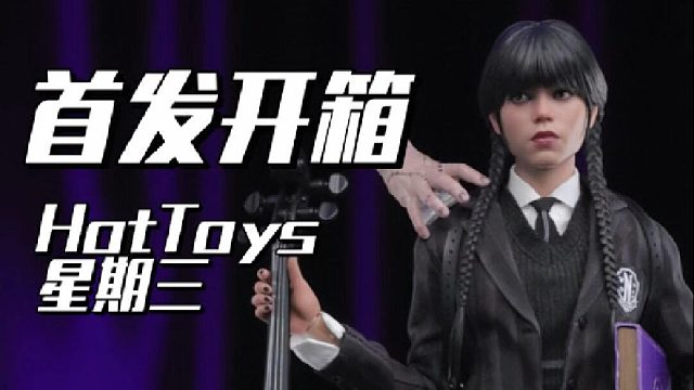 沉浸式开箱只病娇娇的小女生，一定很听话吧