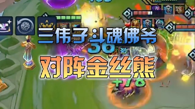 三伟子斗魂佛爷对阵金丝熊