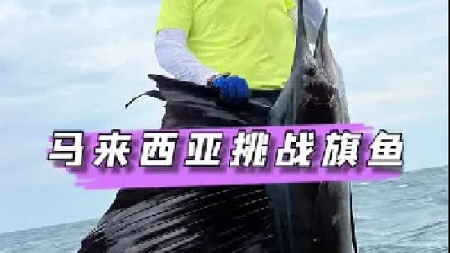 挑战世界上最危险的鱼种之一旗鱼是种什么样的体验。