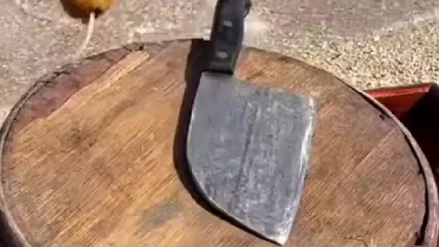 男子从海里抓上来一个东西，切开后居然流出这东西，网友：这是啥 ​​​