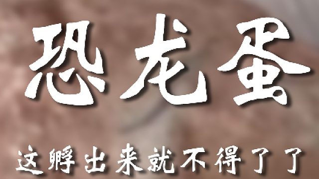 说不定哪天就自己钻出来了是吧