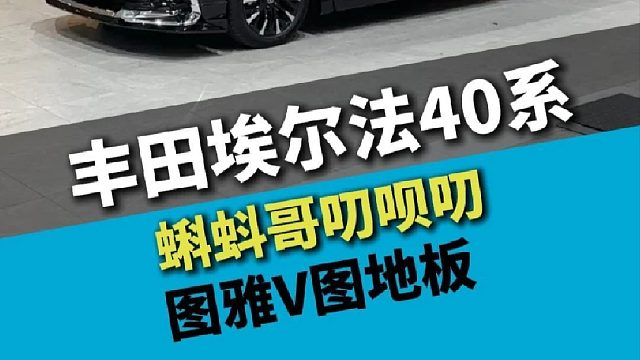 丰田埃尔法40系，图雅地板、蒙娜丽莎包围