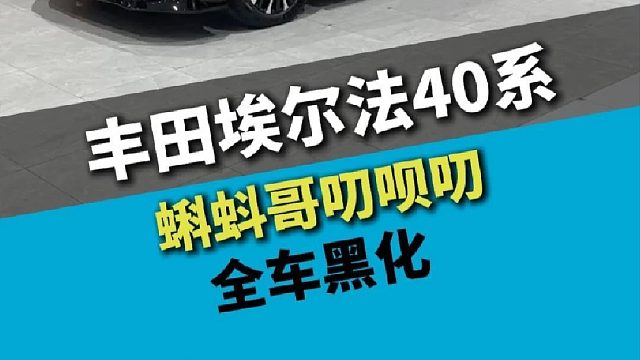 丰田埃尔法40系，这才是真是的黑化中网吧~