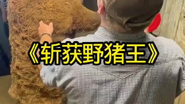 斩获祸害粮食的野猪王