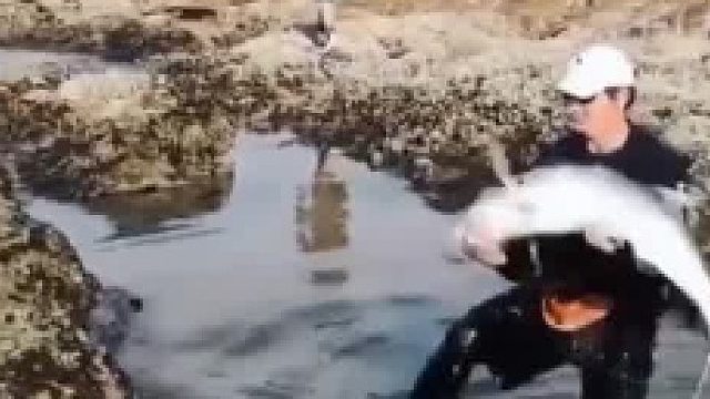 好心人救魚儿一条命呀！