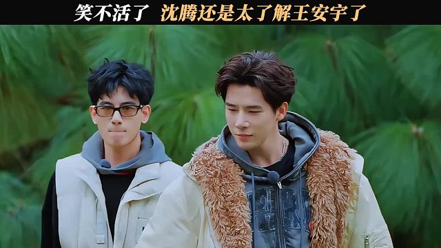 笑不活了，沈腾还是太了解王安宇了