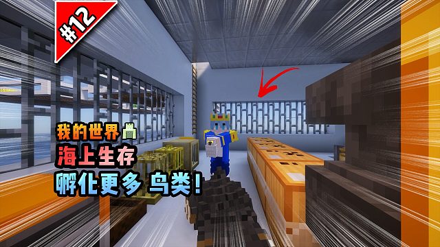 我的世界海上生存：孵化更多鸟类！