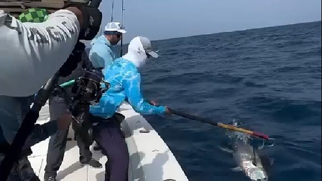 一群男人蓝海区域垂钓危险大鱼