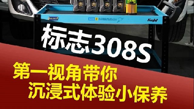 第一视角带你沉浸体验小保养，法系车选用法系油！