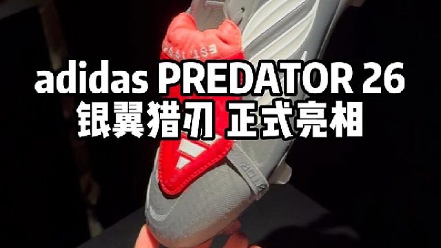 银翼猎刃 正式亮相