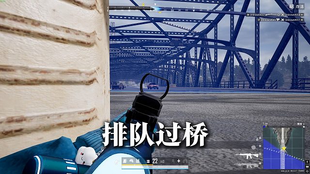 下次换个大菠萝