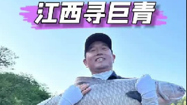 江西寻百斤巨青。