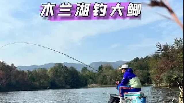 木兰湖钓大鲫。
