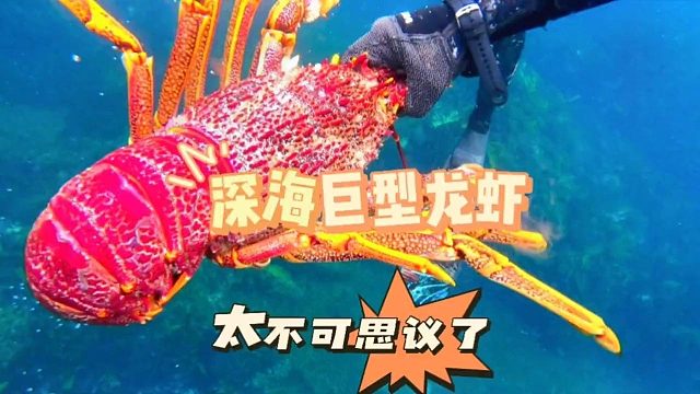 国外小哥意外遇见巨型龙虾，差一点招架不住。