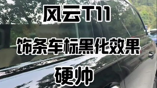 无需多言，T11的车标饰条黑化后，硬帅！
