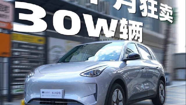 10个月狂卖30万辆？！