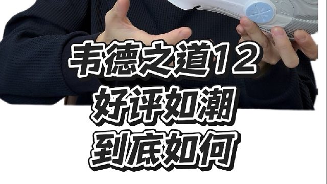 韦德之道12口碑竟然这么好，到底如何？