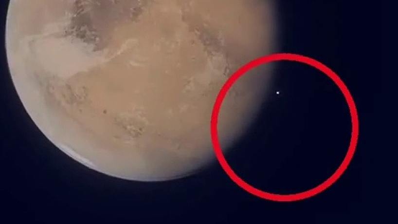 搞笑扒叔的直播