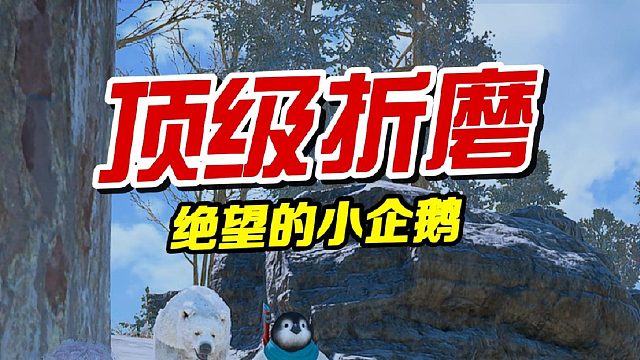 抓到一只小企鹅