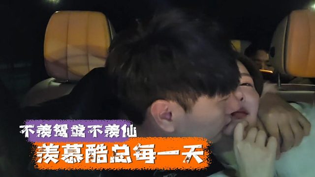 不羡鸳鸯不羡仙，羡慕酷总每一天