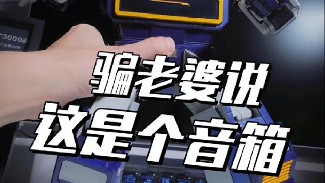 我跟老婆说这是音箱，她信了