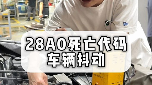 宝马28A0死亡代码车辆抖动！按这个视频来，人人都是维修大师